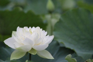 IMG_2857.JPG