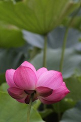 IMG_2896.JPG