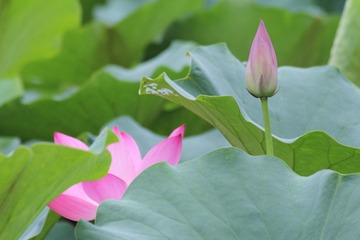 IMG_2943.JPG
