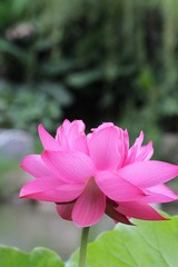 IMG_2961.JPG