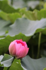 IMG_3006.JPG