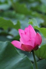IMG_3071.JPG