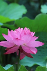 IMG_3175.JPG