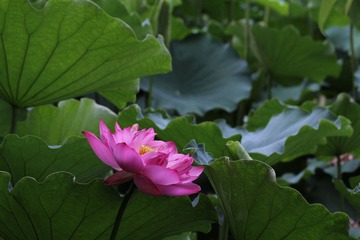 IMG_3183.JPG