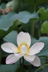 IMG_3203.JPG
