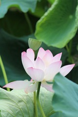IMG_3337.JPG