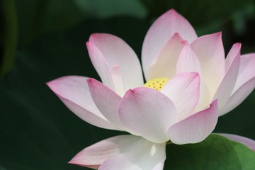 IMG_3384.JPG