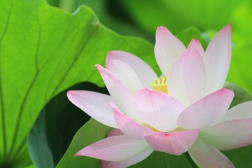 IMG_3331.JPG