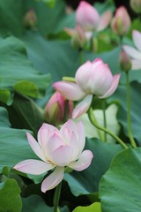 IMG_3339.JPG