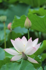 IMG_3367.JPG