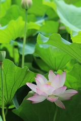 IMG_3417.JPG