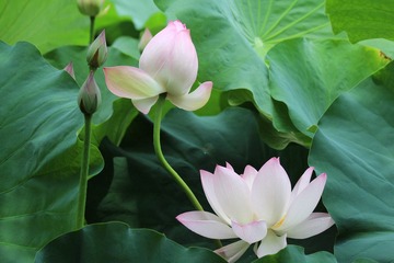 IMG_3428.JPG