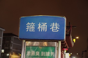 1000100029