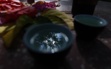 3C3734FB-2439-4FF0-BC87-699845A95689/L0/001