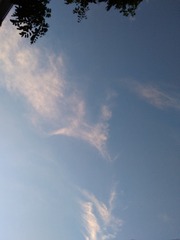 170732