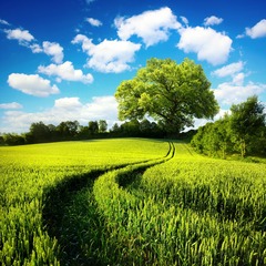 769F8075-8AF3-48CF-AE47-8D44DADD4872/L0/001