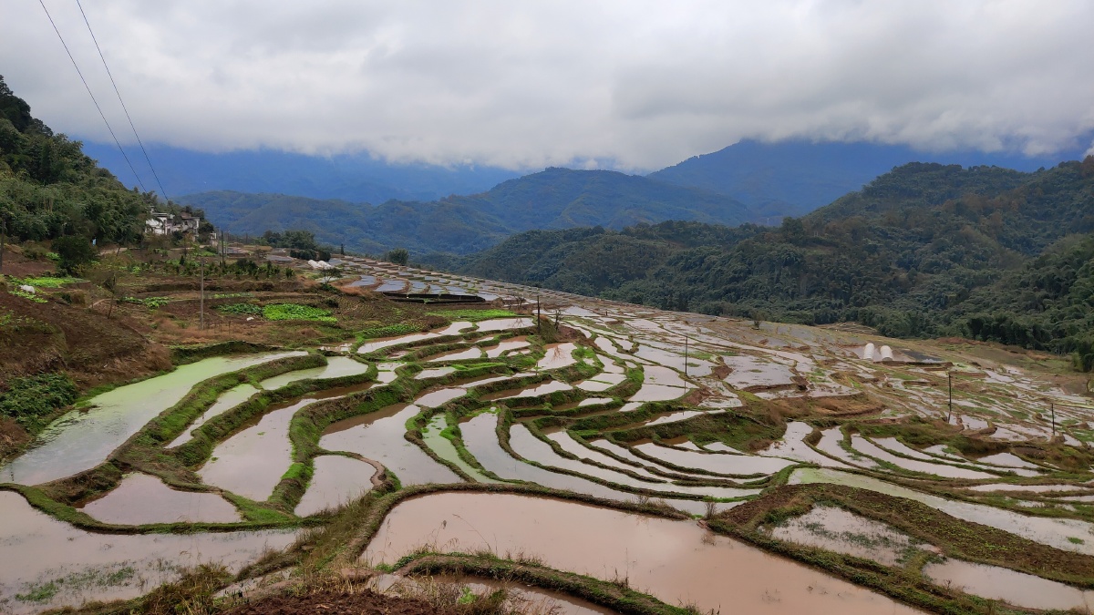 赤水市宝源梯田