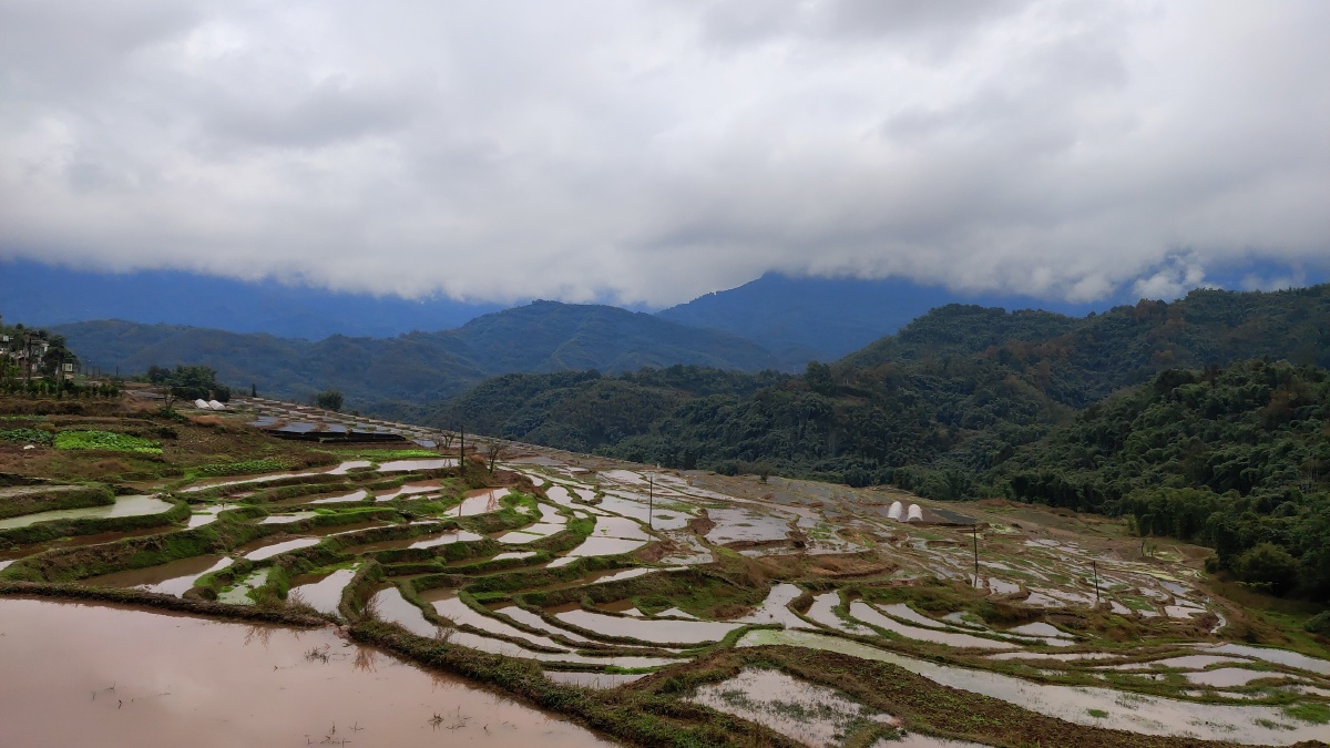 赤水市宝源梯田