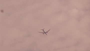 1000025721