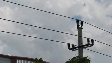 385981