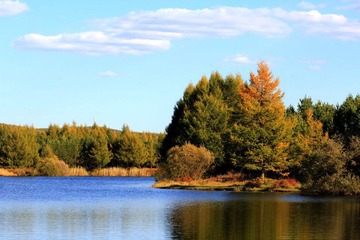 IMG_1254.jpg