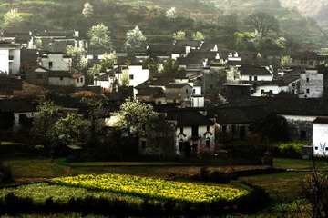 照片 277.jpg