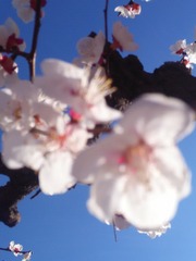 C489FB35-AA5C-41FA-B398-28CA8F061579/L0/001