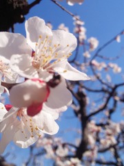 F1EC8F9B-0F7B-4500-8F26-D7E53B3003CF/L0/001