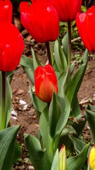 DDD21F29-70CE-4672-A85C-A803DF9726DE/L0/001