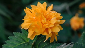 167B1DCB-A064-4BD7-8B56-82367AE6FF56/L0/001