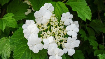 7E428D16-EF68-4B74-ABF6-789A9F444263/L0/001