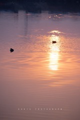 811DB315-9BCB-4B04-AB9D-B37569815857/L0/001