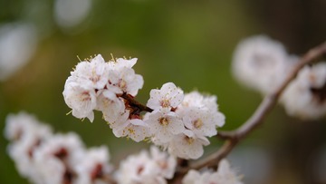 A5A9679A-EF15-4752-BC03-FEC624F94725/L0/001
