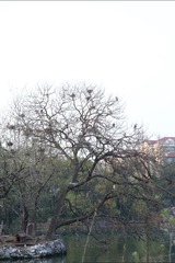 138029