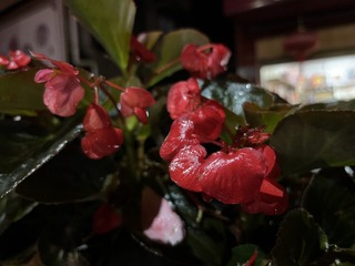 F40FB38A-DE33-4A00-9173-CF097B85CB76/L0/001