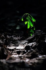 IMG_2800-2.jpg