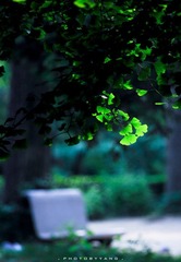 IMG_2786-2.jpg
