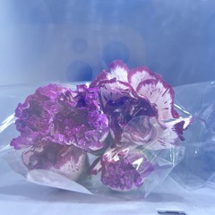 229F14A3-9577-4CE3-A0C3-C7FCC12FC1A0/L0/001