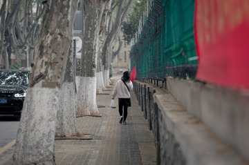 2010