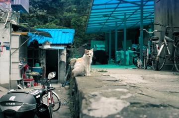 2008