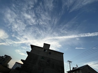 BF26E55A-777C-42CC-9542-5A7EAF8EC393/L0/001