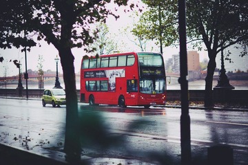 RAY_6343-1024.jpg