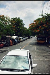 RAY_4563-750