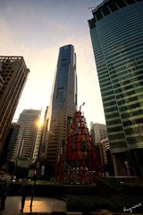 RAY_6653-750