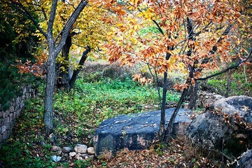 RAY_2571-700