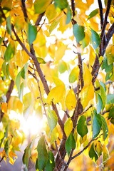 RAY_2437-700