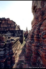 RAY_4834-750