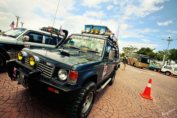 RAY_8015-800