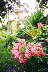 RAY_7611-750