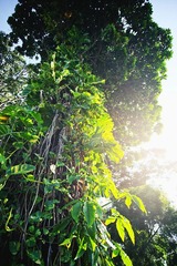 RAY_7712-750